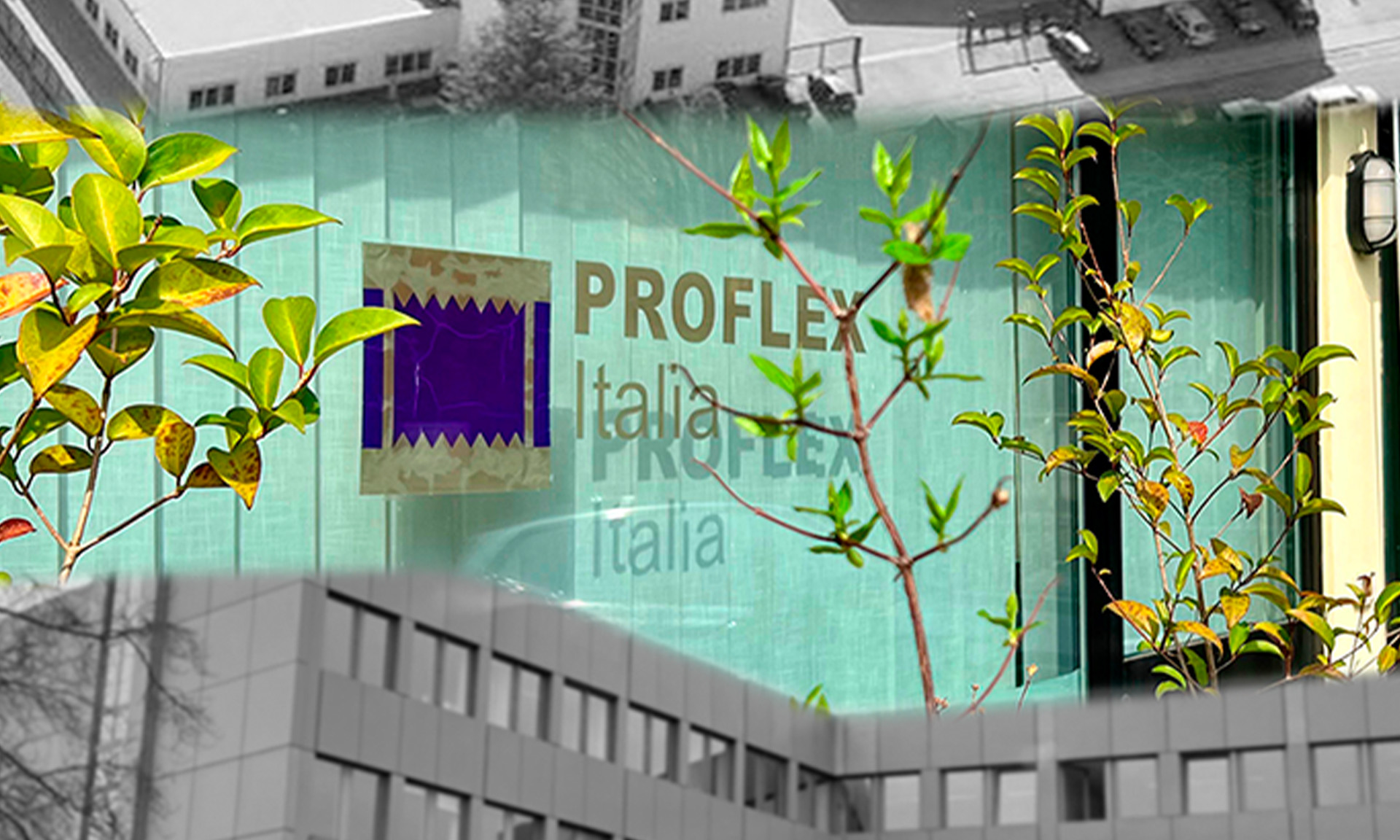 Proflex Italia